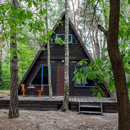 Domki W Wildze Skurcza Экстерьер фото
