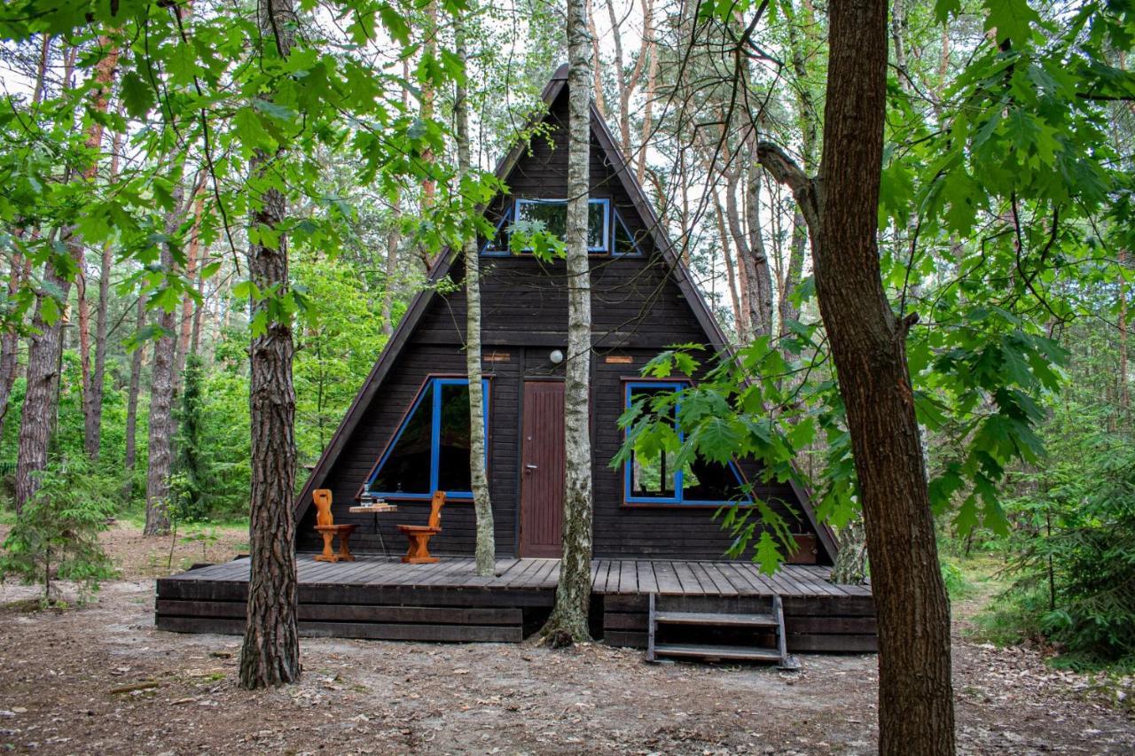 Domki W Wildze Skurcza Экстерьер фото