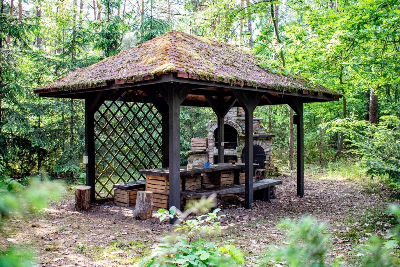 Domki W Wildze Skurcza Экстерьер фото